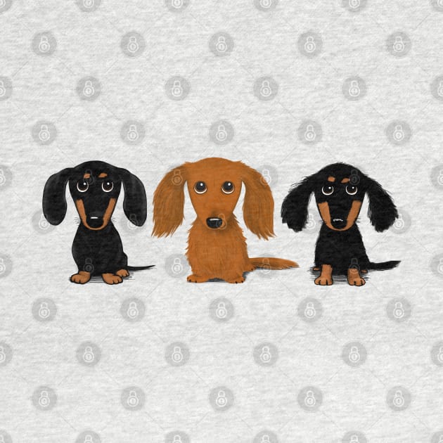 Three Doxies by Coffee Squirrel